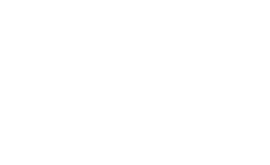 New Peak Constuction